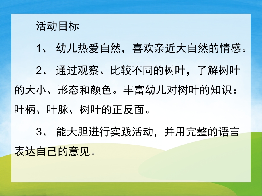 大班科学《有趣的叶子》PPT课件教案PPT课件.pptx_第2页