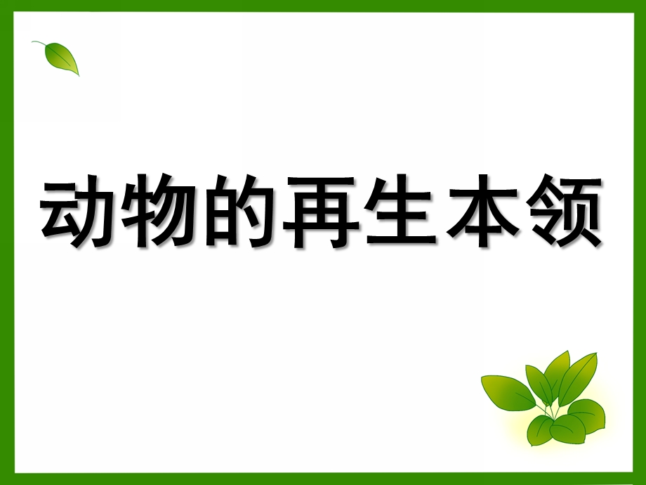 大班科学《动物的再生本领》PPT课件动物的再生本领.pptx_第1页