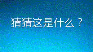 中班美术《猜猜这是什么》PPT课件教案中班美术《猜猜这是什么》微课件.pptx