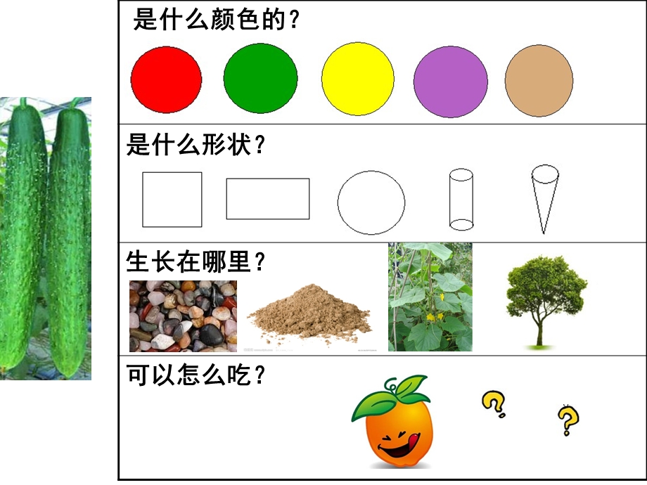 中班社会活动《认识农作物》PPT课件ppt课件.ppt_第2页