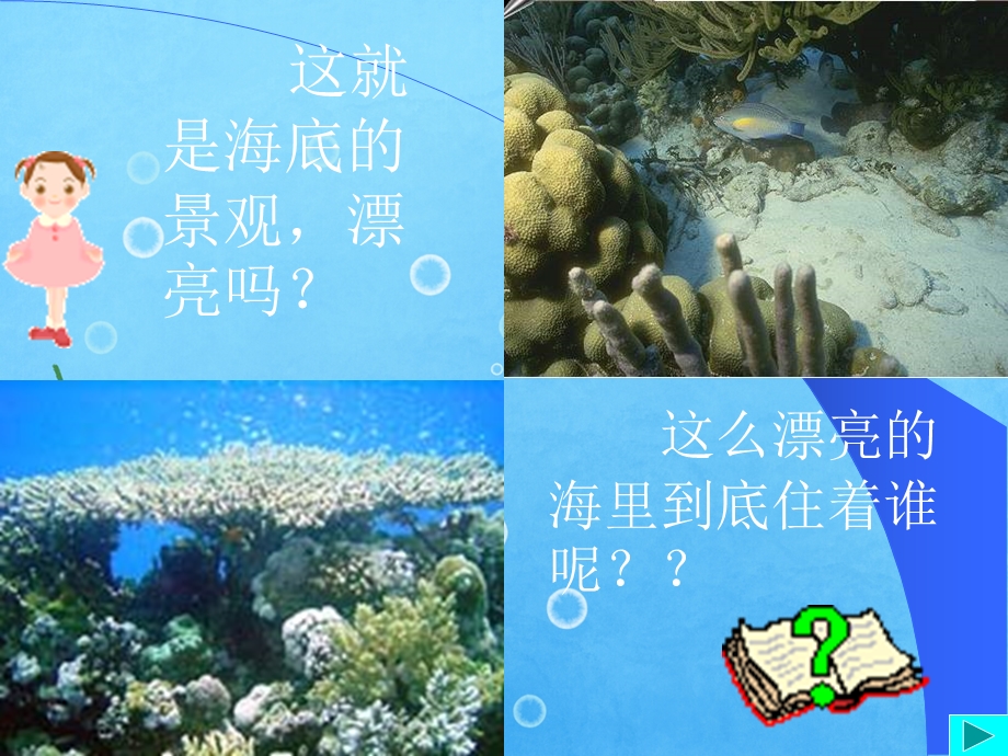 小班科学活动《海洋动物》PPT课件小班科学活动海洋动物.pptx_第2页