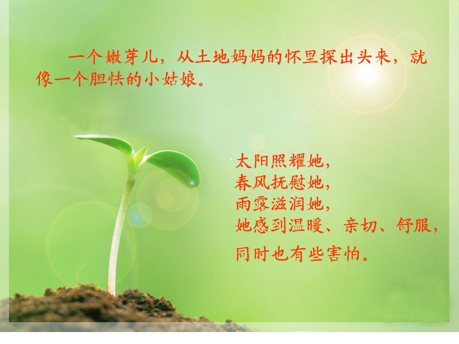 中班散文《芽》PPT课件芽中班语言散文.ppt_第2页