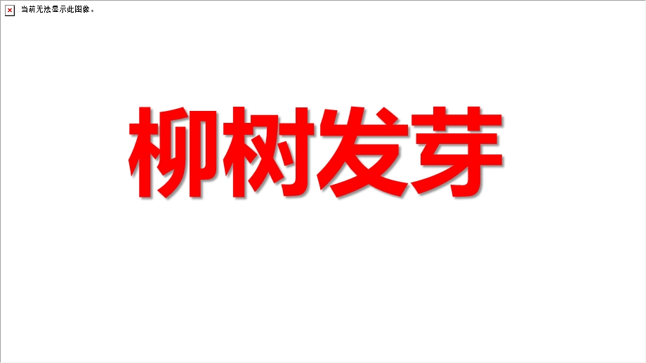 中班美术绘画活动《柳树发芽》PPT课件教案PPT课件.ppt_第1页