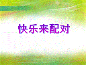 中班数学《快乐来配对》PPT课件教案PPT课件.ppt