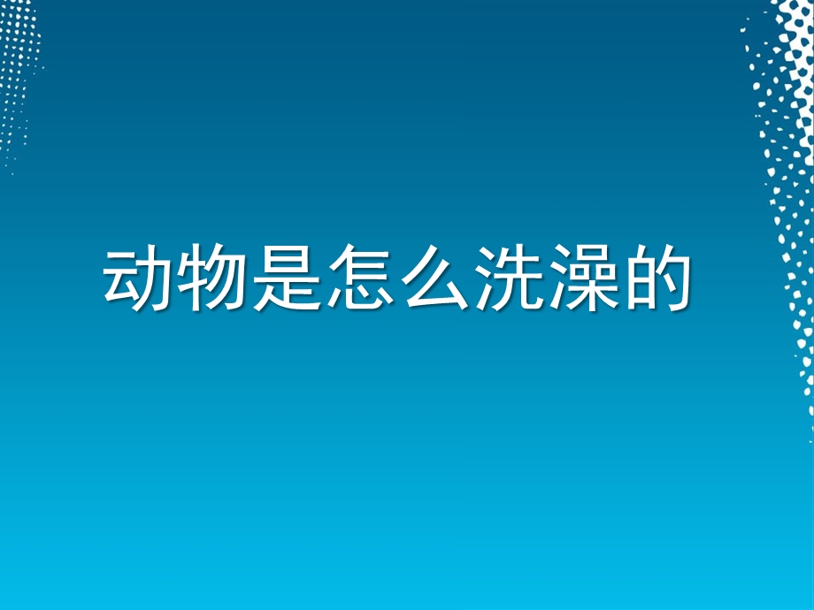 大班《动物是如何洗澡的》PPT课件动物是如何洗澡的.ppt_第1页