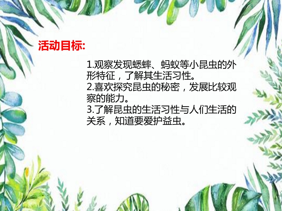 中班科学活动《有趣的昆虫》PPT课件教案音乐PPT课件.ppt_第2页