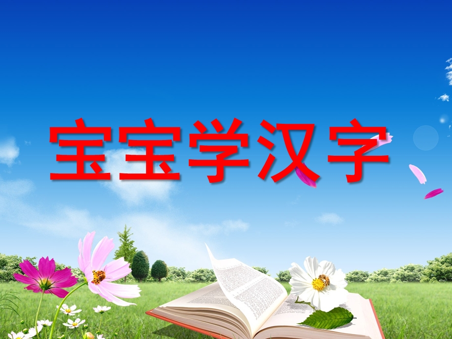 幼儿学汉字PPT课件ppt课件.pptx_第1页