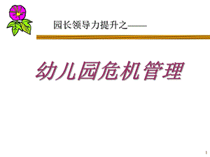 园长领导力危机管理PPT课件园长领导力危机管理PPT课件.ppt