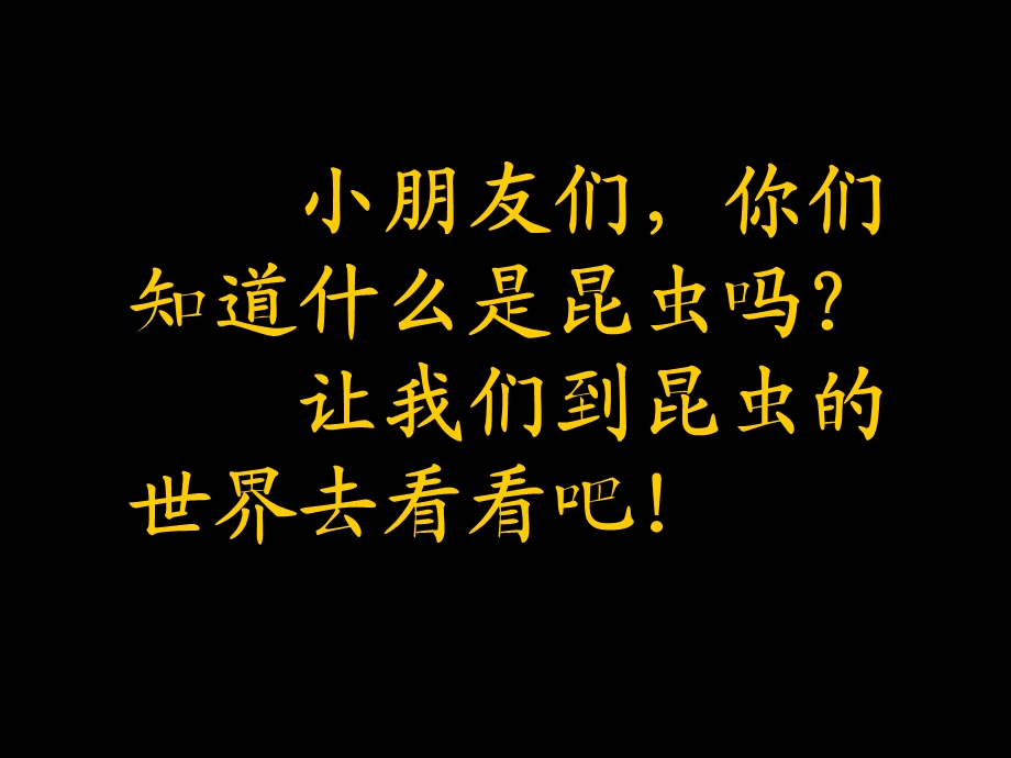 小班科学《认识昆虫》PPT课件教案小班科学-认识昆虫.pptx_第2页