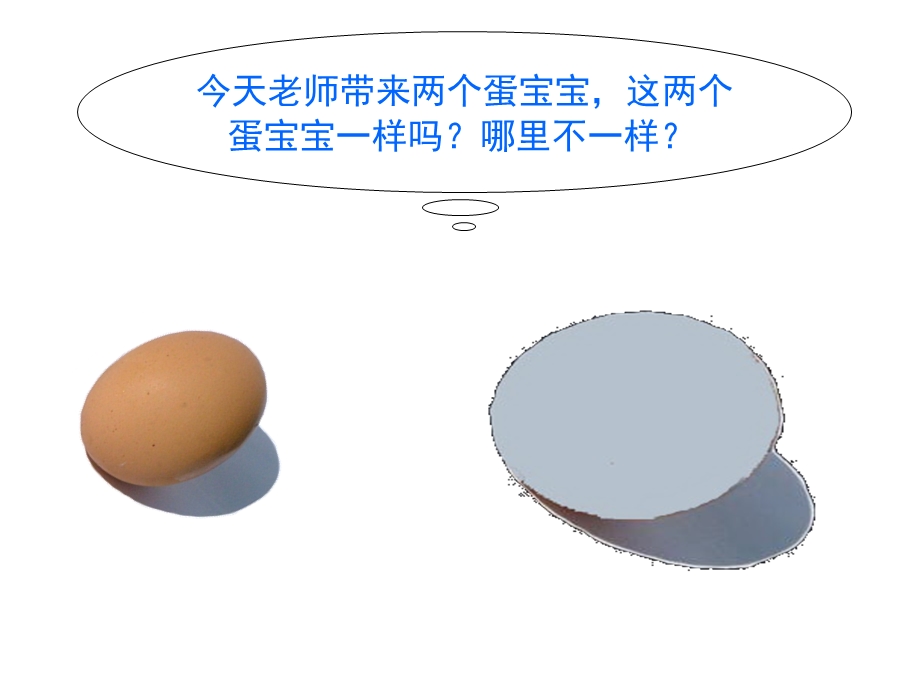 小班科学公开课《小鸡和小鸭》PPT课件教案PPT课件.pptx_第3页