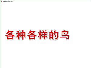 中班科学《各种各样的鸟》PPT课件教案PPT课件.ppt