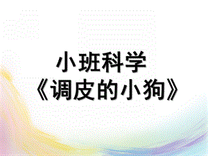 小班科学《调皮的小狗》PPT课件教案小班调皮的小狗.pptx