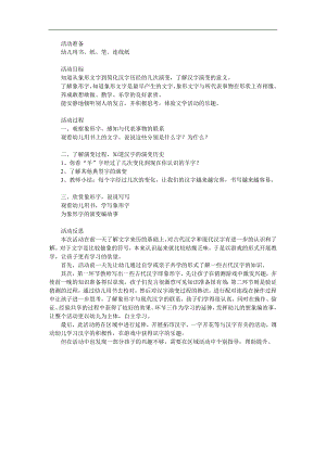 大班《认识象形文字》PPT课件教案参考教案.docx