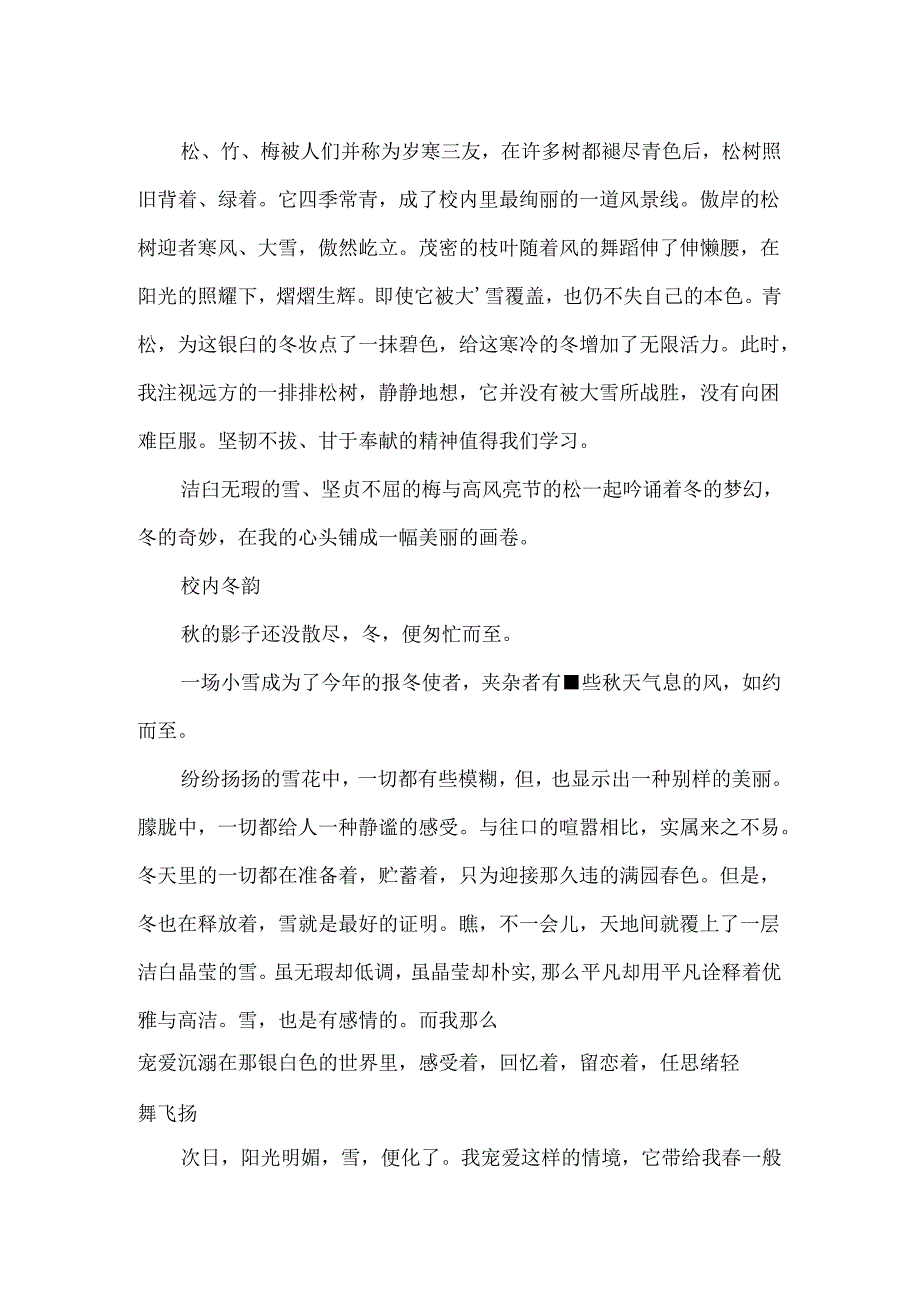 关于校园的文章：校园冬韵.docx_第2页