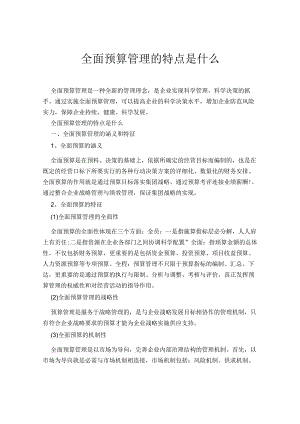 全面预算管理的特点是什么.docx