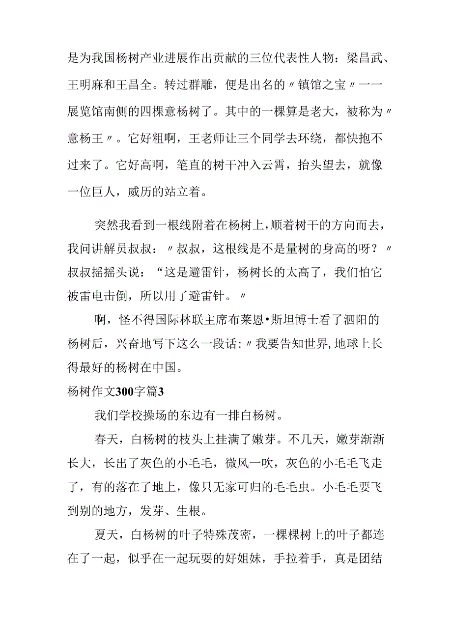 关于杨树作文300字合集5篇.docx_第3页