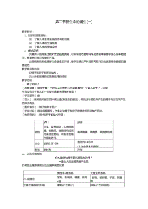 七年级下册教案 浙教版.docx