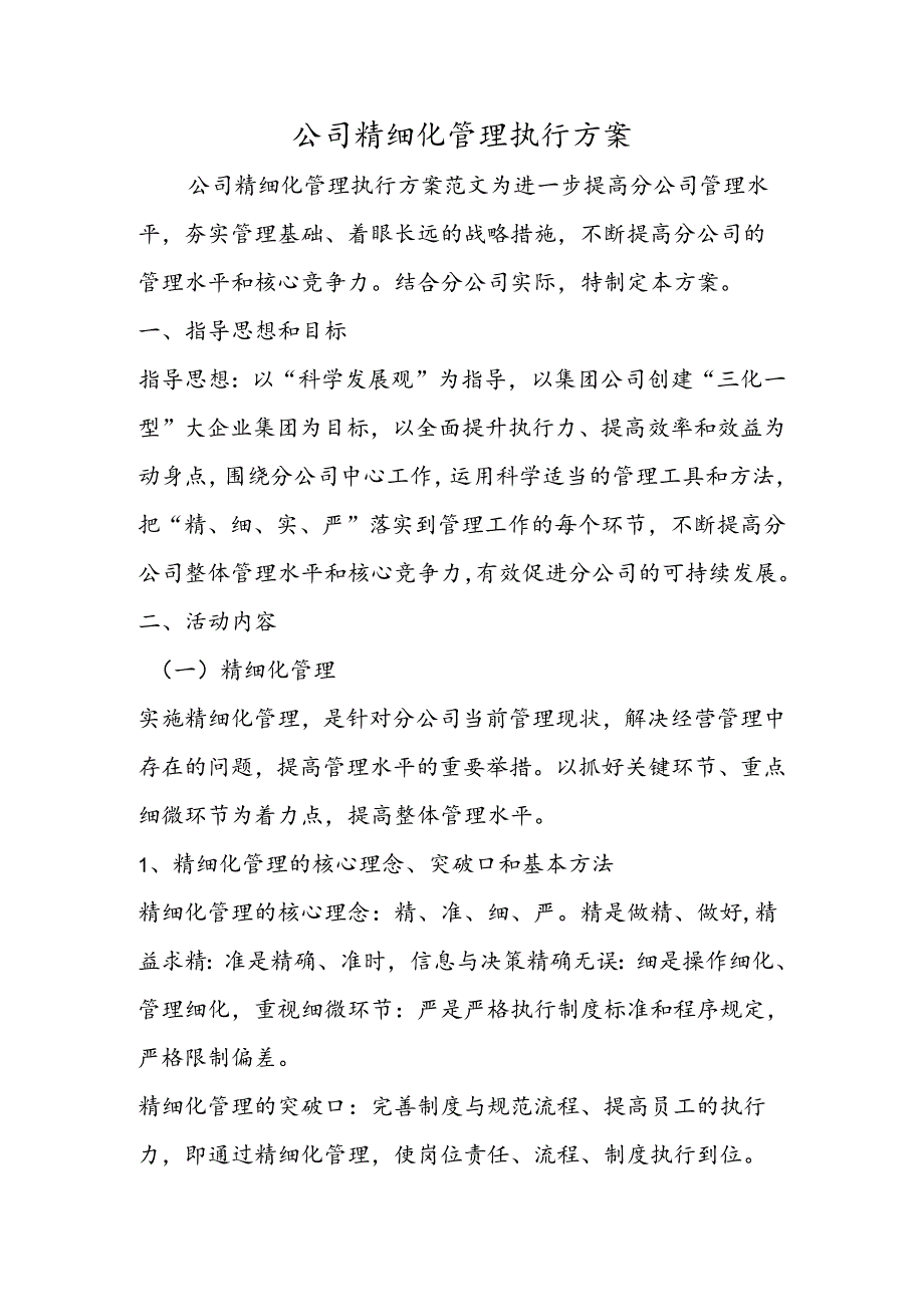 公司精细化管理执行方案.docx_第1页