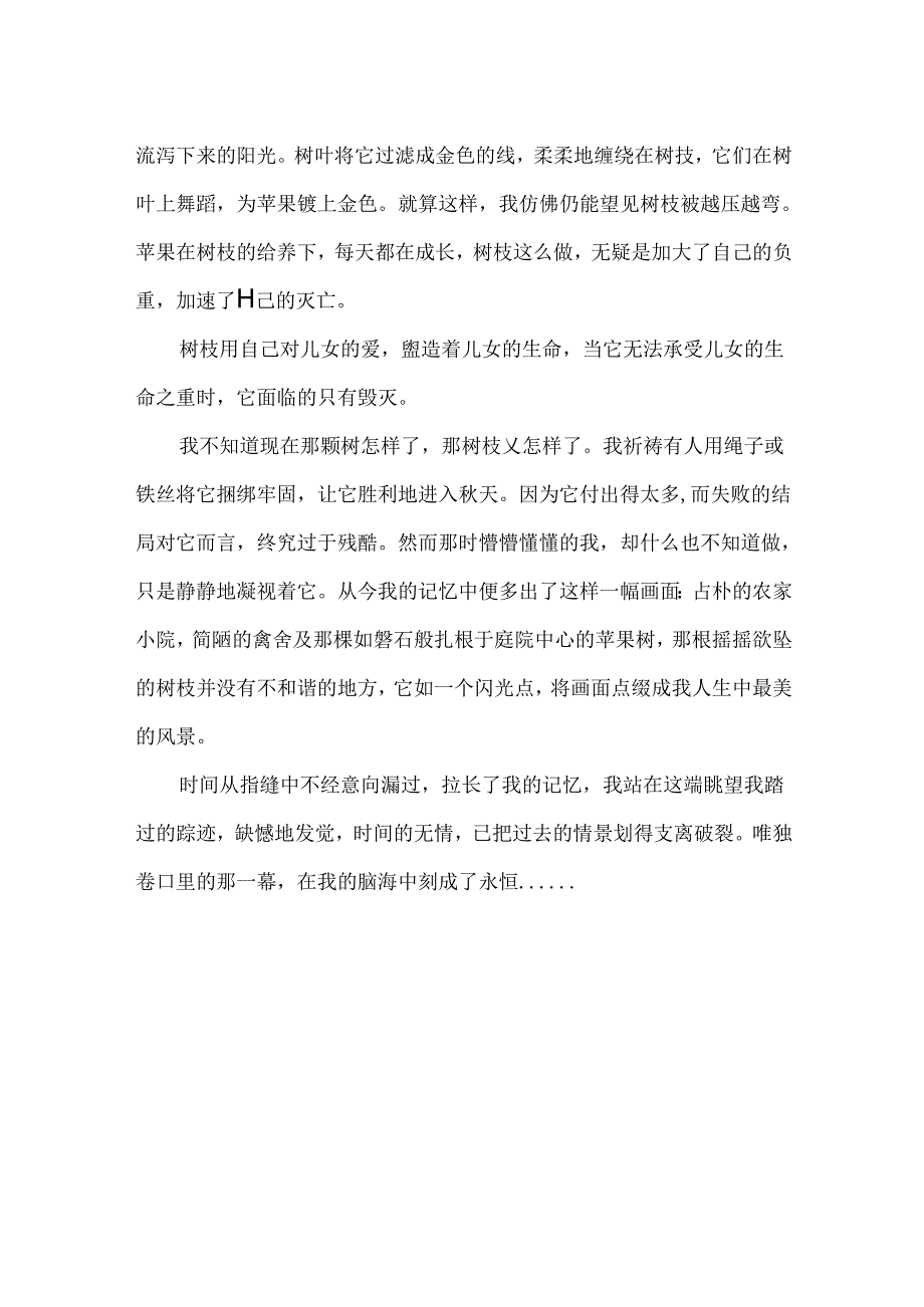 折了一半的苹果枝作文600字.docx_第2页