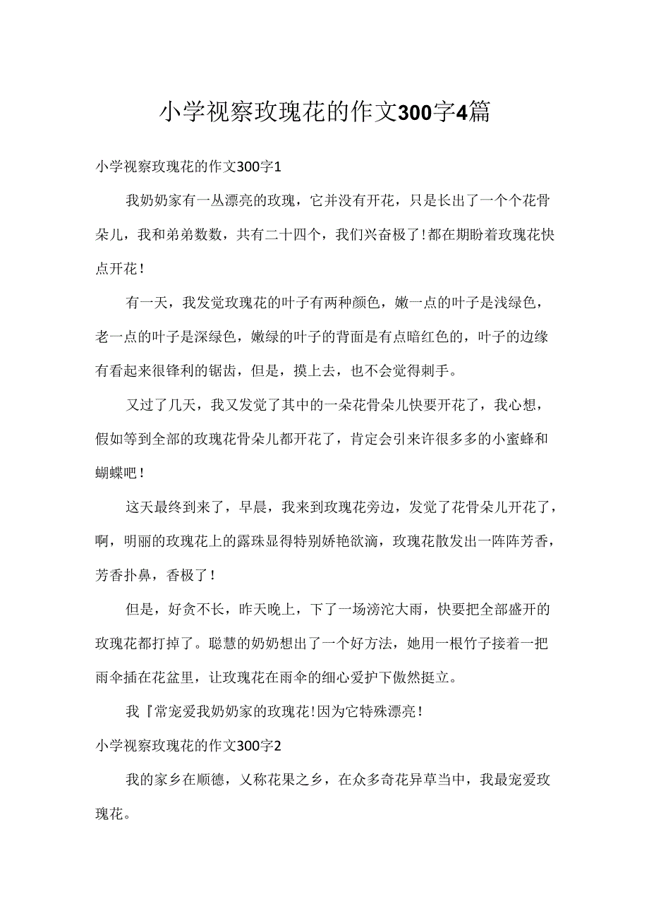 小学观察玫瑰花的作文300字4篇.docx_第1页