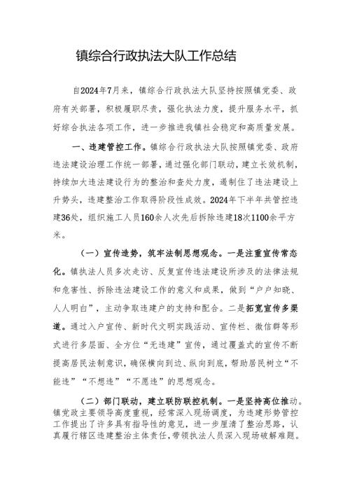 镇综合行政执法大队工作总结.docx