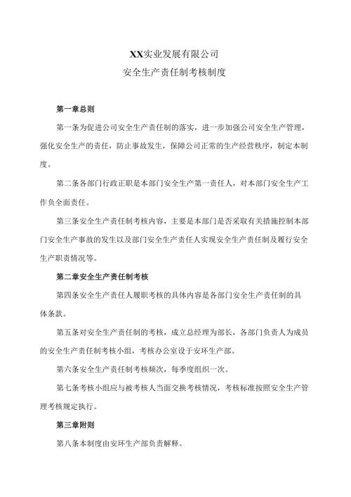 XX实业发展有限公司安全生产责任制考核制度（2024年）.docx