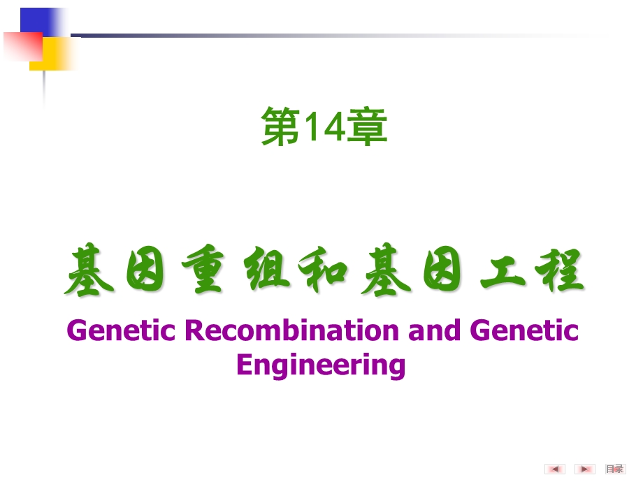 基因重组和基因工程.pps_第1页